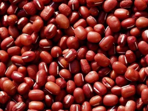 红豆