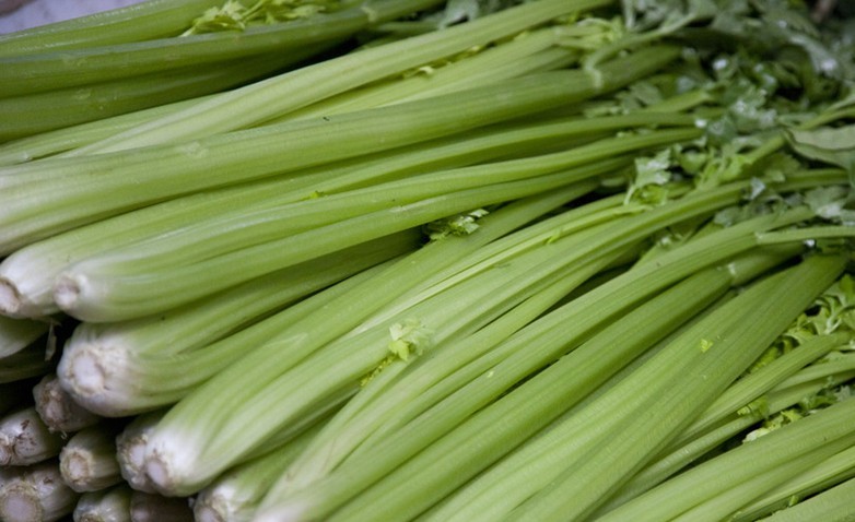 芹菜1