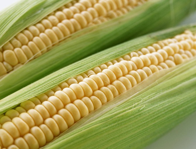 玉米